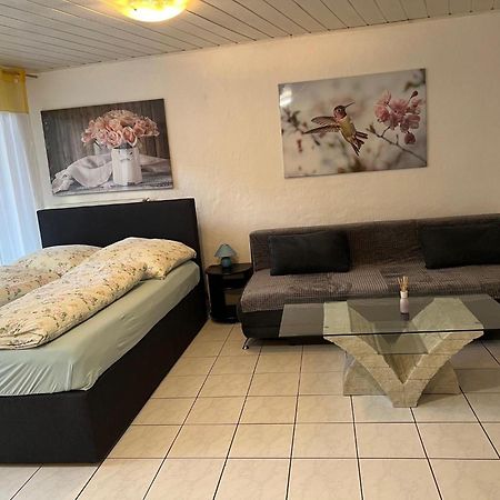 Linh'S Ferienwohnung Sarrebourg Extérieur photo